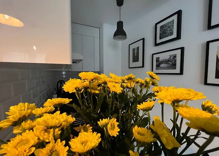 Firesalamander Apartament Z Prywatna Sauna - Wyjatkowy I Romantyczny, Idealny Na Specjalne Okazje